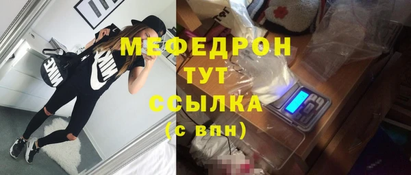 гидра Богданович