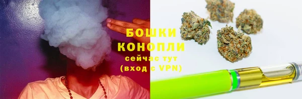 гидра Богданович